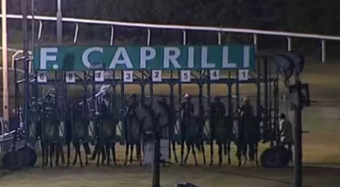 Ippica, liquidazione giudiziale per Sistema Cavallo: la società farà ricorso