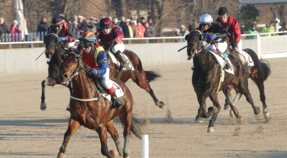 Ippodromo Snai La Maura, Fonzie Mabel si conferma nel Premio Docena