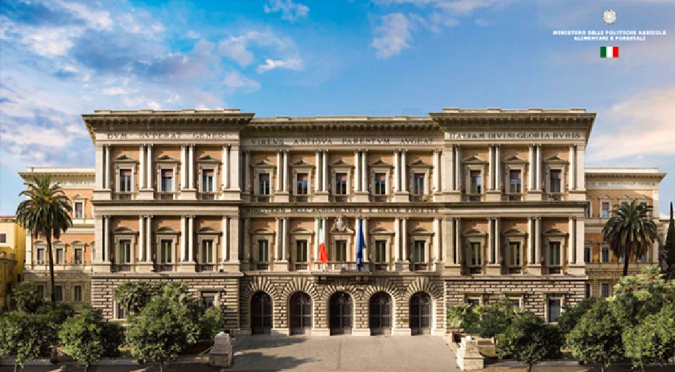 Ippica, il Masaf ufficializza i nuovi coordinatori per corse ippiche e giurie galoppo