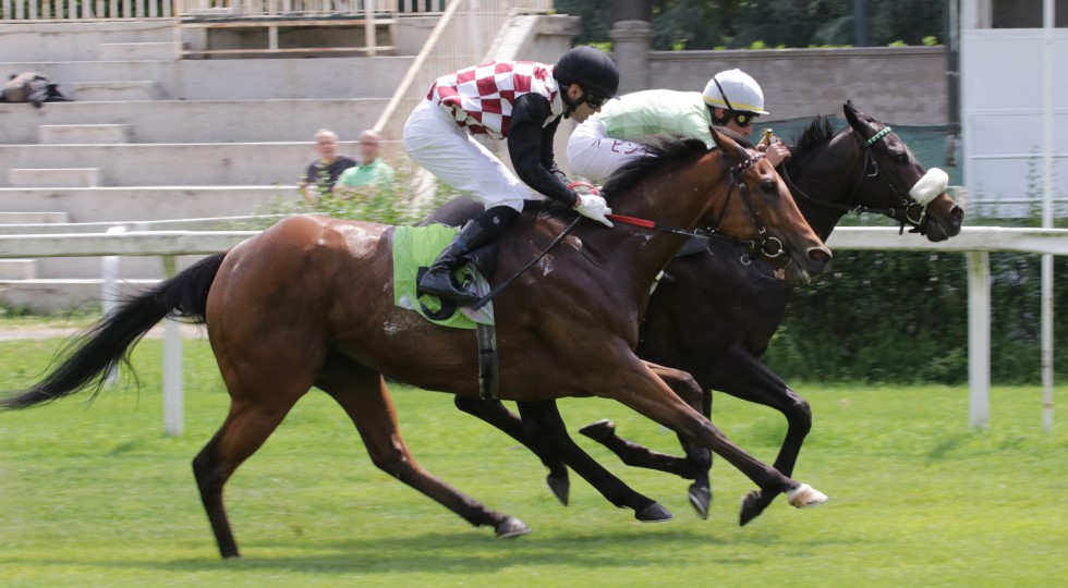 Ippodromo Snai San Siro, si torna in pista con i Premi Carlo Porta, Madonnina e Castello Sforzesco